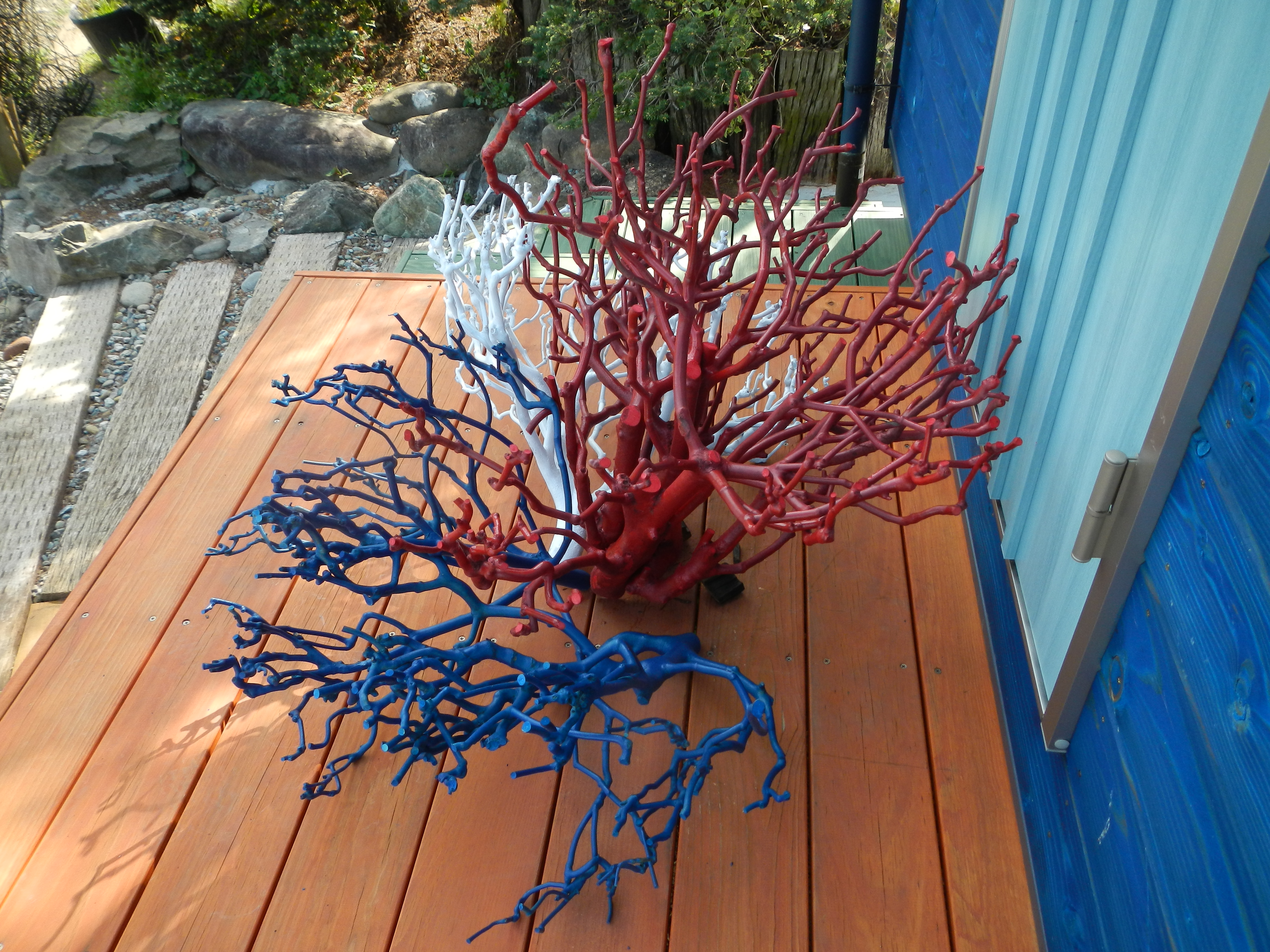 サンゴの木　1
